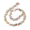 Drawbench Style Natural Freshwater Shell Beads Strands X-SHEL-F003-05-3