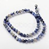 Natural Sodalite Beads Strand X-GSR6mmC013-3
