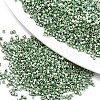 FGB 11/0 Grade A Glass Seed Beads SEED-S030-1217-1