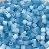 Glass Seed Beads X1-SEED-H002-D-A811-3