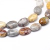 Natural Crazy Lace Agate Flat Oval Bead Strands G-M206-18-3