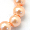 Baking Paint Pearlized Glass Pearl Round Bead Strands X-HY-Q003-4mm-18-3