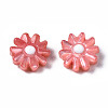 Natural Freshwater Shell Beads SHEL-N003-20B-3