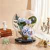 Round Glass Dome Cover GLAA-WH0049-013C-4