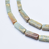 Natural Aqua Terra Jasper Beads Strands G-E444-15B-3