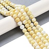 Baking Paint Glass Bead Strands X-GLAA-H031-01B-03-2