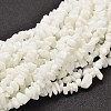 Chip Opaque Glass Beads Strands X-G-L454-03-1