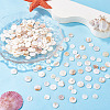 1 Strand 2 Styles Natural Freshwater Shell Beads Strands SHEL-TA0001-43-6