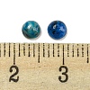 Natural Blue Agate Dyed Cabochons G-H309-03-48-3