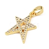Brass Micro Pave Cubic Zirconia Pendants KK-L231-17G-2