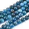 Natural Apatite Beads Strands G-O186-E02-6mm-4