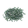 6/0 Glass Seed Beads SEED-YW0001-25F-2