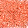 6/0 Transparent Glass Seed Beads SEED-F003-03A-11-3