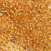 6/0 Transparent Glass Round Seed Beads X-SEED-J010-F6-22B-2