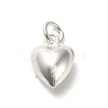 925 Sterling Silver Pendants STER-P057-07C-S-1