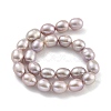 Natural Cultured Freshwater Pearl Beads Strands PEAR-P062-08J-3