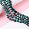Natural Chrysocolla Beads Strands G-I318-09A-2