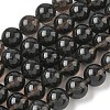 Natural Ice Obsidian Beads Strands G-P590-A03-12mm-02-2