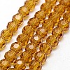 Glass Beads Strands EGLA-J042-6mm-04-1