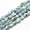Natural Larimar Beads Strands G-R445-8x10-15-1