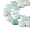 Natural Amazonite Beads Strands G-C238-09-5