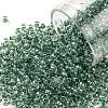 TOHO 8/0 Round Beads SEED-JPTR08-1070-1