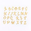 304 Stainless Steel Pendants X-STAS-O098-03G-1