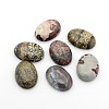 Gemstone Cabochons G-P023-M-2