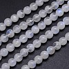 Natural Rainbow Moonstone Round Bead Strands G-M263-C-02-1