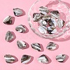 20Pcs Handmade Lampwork Beads LAMP-YW0001-61A-1