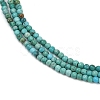 Natural HuBei Turquoise Beads Strands G-C181-A01-01-4