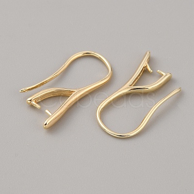 Brass Earring Hooks KK-WH0031-43G-1