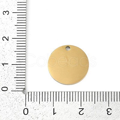 304 Stainless Steel Charms STAS-I325-130G-1