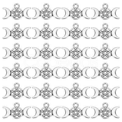 200Pcs Tibetan Style Alloy Charms TIBEP-PH0001-89-1