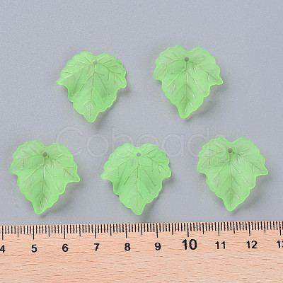 Autumn Theme Transparent Frosted Acrylic Pendants X-PAF002Y-28-1