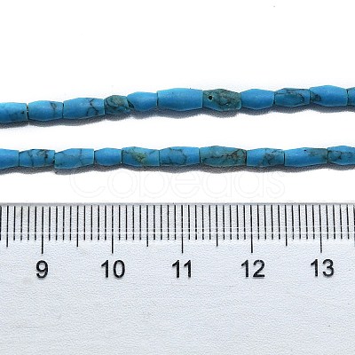 Dyed Synthetic Turquoise Beads Strands G-D356-A01-02-1