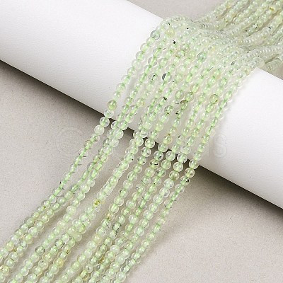 Natural Prehnite Beads Strands G-C255-B03-2mm-1