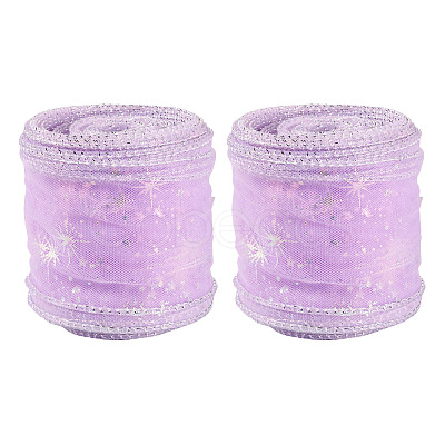 Polyester Deco Mesh Ribbons OCOR-TAC0024-004B-1