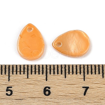 Spray Painted Natural Freshwater Shell Teardrop Charms LS-SHEL-K006-47D-1