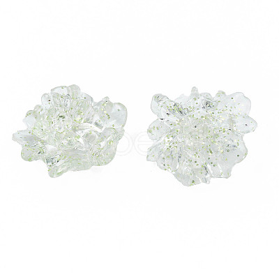 Transparent Acrylic Cabochons TACR-N006-16-A04-1