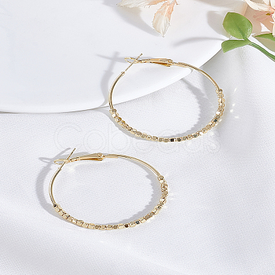 1Pair Alloy Hoop Earrings EJEW-LP0008-029LG-1