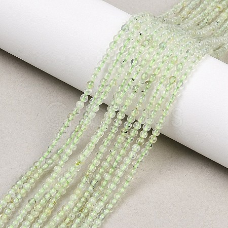 Natural Prehnite Beads Strands G-C255-B03-2mm-1