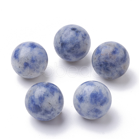 Natural Blue Spot Jasper Beads G-S289-15-10mm-1