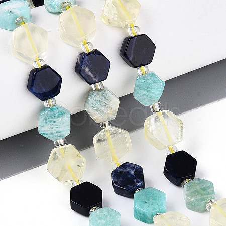 Natural Sodalite & Flower Amazonite & Lemon Quartz Beads Strands G-N358-03A-06-1