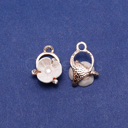 Alloy Rhinestone Charms ALRI-WH0002-70-1
