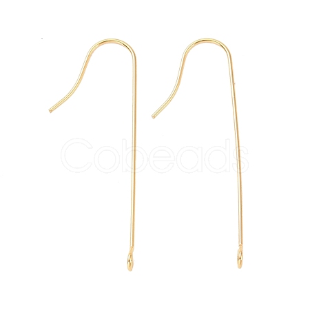 316 Surgical Stainless Steel Earring Hooks STAS-E027-01A-G-1
