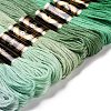 12 Skeins 12 Colors 6-Ply Polyester Embroidery Floss OCOR-M009-01B-06-2