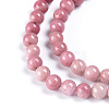 Natural Rhodonite Beads Strands G-I189-01-3