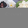Plastic Zipper Pull Charms FIND-PH0015-73-5