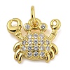 Marine Theme Rack Plating Brass Micro Pave Cubic Zirconia Pendants X-KK-I718-28G-02-1